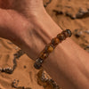 Evolvegem "Earth & Armor" Tiger Eye Black Onyx Hematite Bracelet