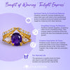 Evolvegem "Twilight Empress" Amethyst Protection 2Pcs Ring Set