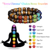 Evolvegem "Terra Chroma" Tiger Eye Stone Chakra Bracelet