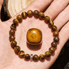 Evolvegem "Tigereye Oath" Tiger Eye Courage Bracelet