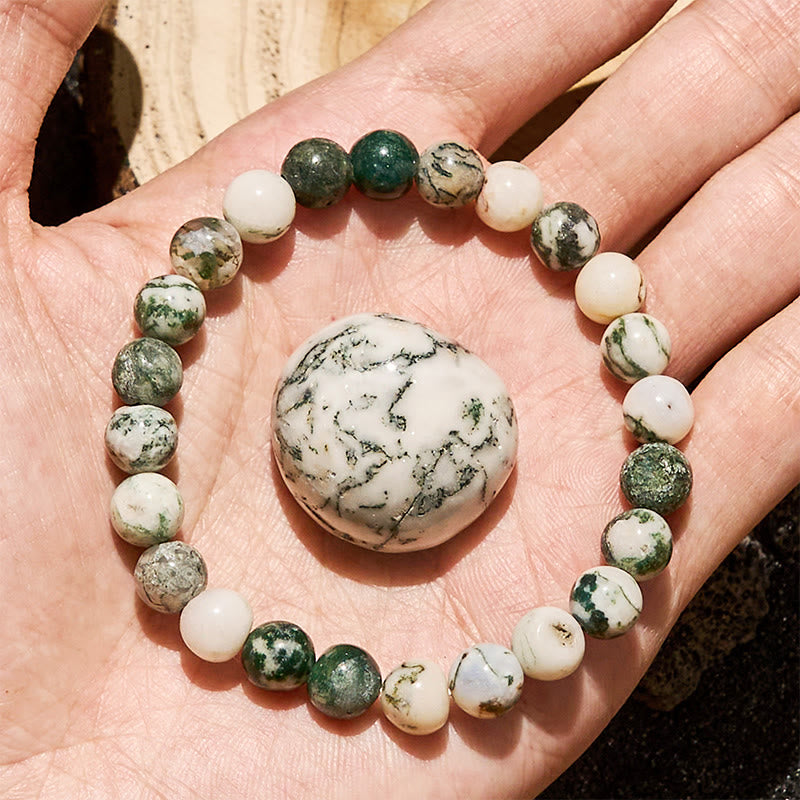 Evolvegem "Mossveil Grove" India Agate Emotional Balance Bracelet