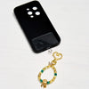 Evolvegem Wealth & Protection Gemstone Phone Charm Keychain